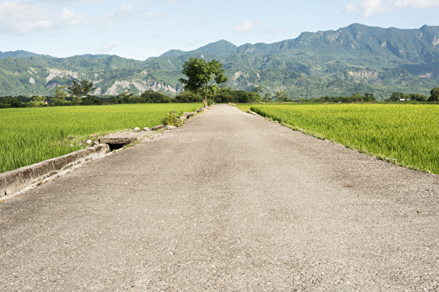 田舎の道路